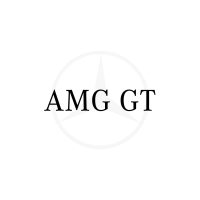 AMG GT X190