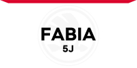 Fabia 5J (2007-2014)