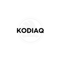 Kodiaq NS7 (ab 2017)