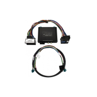 CAS V5 Kamera Interface f&uuml;r BMW der F-Serie mit NBT Navi/Radio PNP