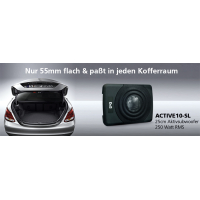 AMPIRE actieve subwoofer, 25 cm (10) 250/400 watt